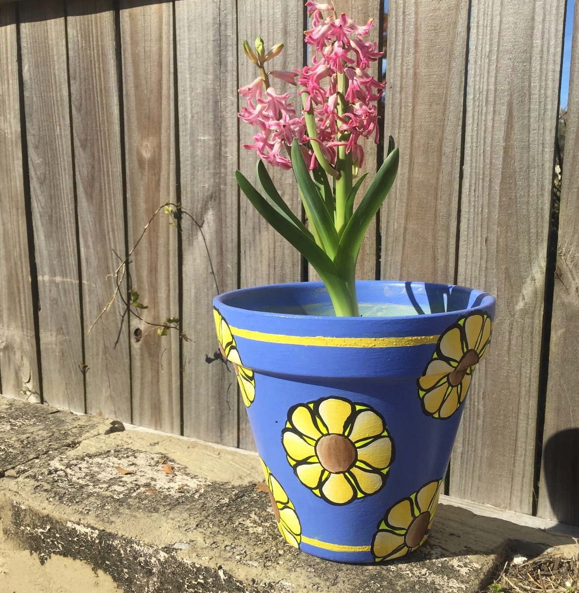 ECreationsKW's tweet photo. CHECK OUT OUR @Etsy SHOP FOR NEW SUMMER DECOR ITEMS! 🌞✨
✨FEATURING: SUNSHINE TERRACOTTA PLANTER POT✨
🍃 https://t.co/LxsXaDODu9 🍃
#planter #plants #homedecor #handmade #garden #plantsofinstagram #planters #plant #pottery #gardening #flowers #plantsmakepeoplehappy #plantlover https://t.co/119beZhy4V
