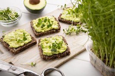JasonBKaster's tweet image. Sprouted Grain Breads vs. Enriched Flour Breads... The good, the bad, the ugly. drkasters.com/chiropractic-b… #SproutedBread #enrichedbread #gluten #celiac #health #choices #kasterchiropractic #westcoastintegrativewellnesscenter