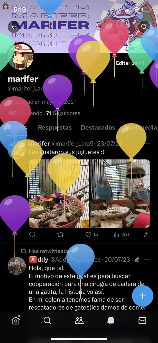 🐙marifer🥜🦜 tweet media