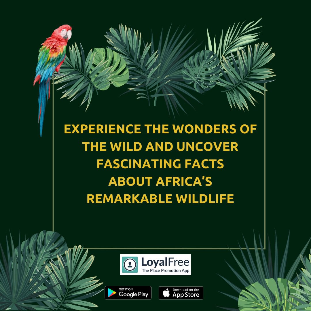HelloDorking's tweet photo. 📣 Attention all wildlife enthusiasts and nature lovers! We are excited to announce a FREE Safari adventure with @HelloDorking this Summer! 🌿
Download the @loyalfreeapp for free today!
#LFSummerSafari #WildlifeAdventure #ExploreDorking #NatureTrail #SummerSafariTrail https://t.co/UaaxfCwimB