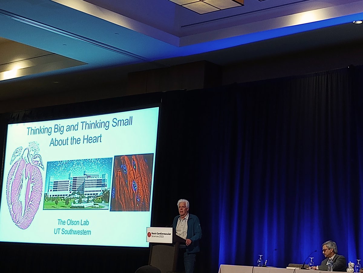 BCVSearlyCareer's tweet photo. A must -see happening now! The #BCVS23 keynote lecture from Eric Olson @Transactivator ! 
@SDPrabhuMD @farahsheikh https://t.co/tqCAR4nnGU