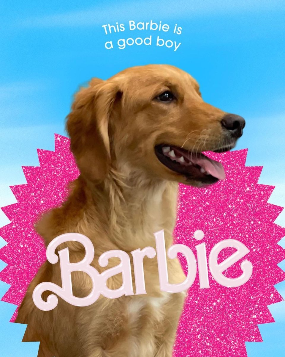TheraCleanInc's tweet photo. This Barbie is a good boy ❤️ 🤣 

In honor of the new Barbie movie out now, we had to share. Photo by @goldboyscout https://t.co/ykx8tbzBSD
