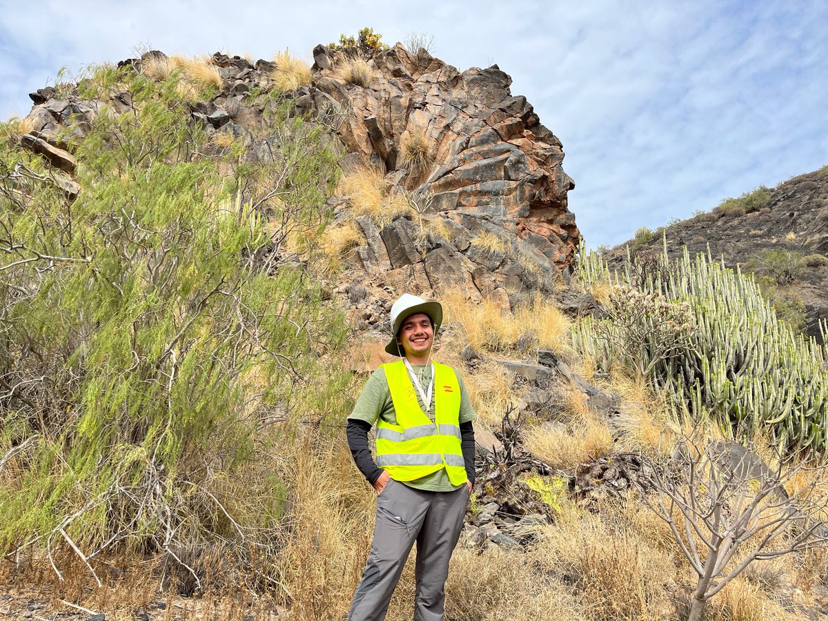 GeoTenerife scholar tweet media