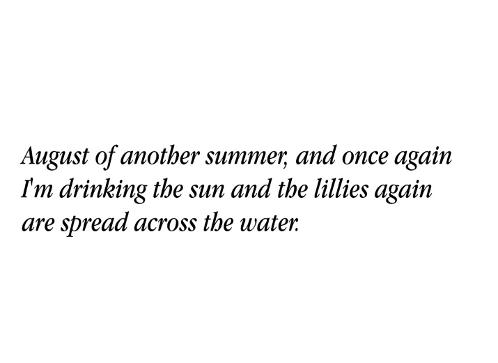 faeslily's tweet photo. august, kind month 🌱 https://t.co/LpleWaP6fH