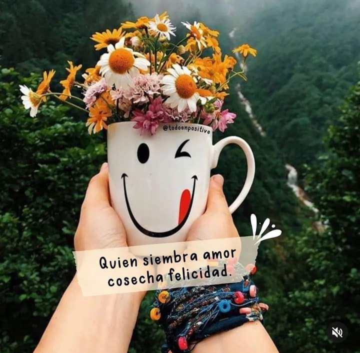 💜🌸💜🌸💜🌸💜🌸💜🌸💜🌸💜🌸💜