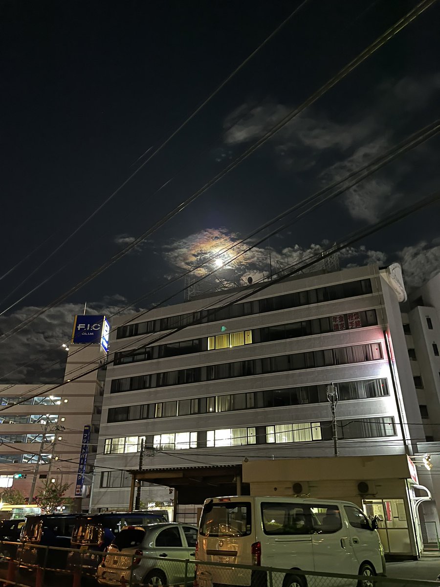 サカウエヒカル (@kanpyotamazush1) on Twitter photo 