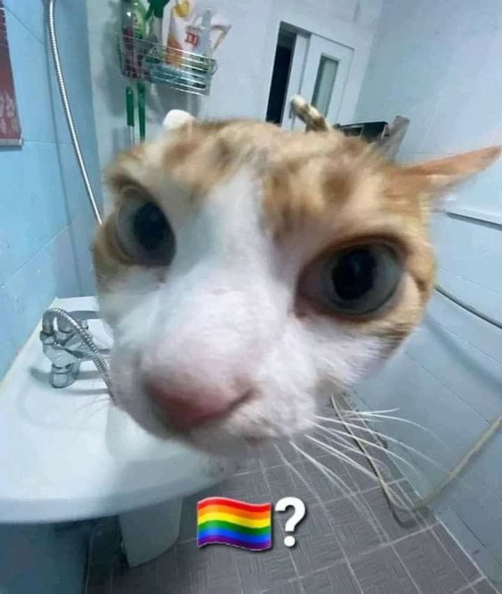 dalbanhg's tweet photo. amigo el live era por nuestro cumpleaños o para ver quién es más homosexual?????? https://t.co/mc91zbZQi5