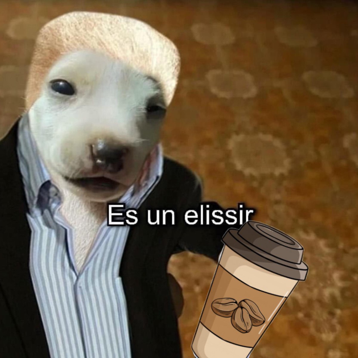 Cuando le doy el primer trago a mi café…
