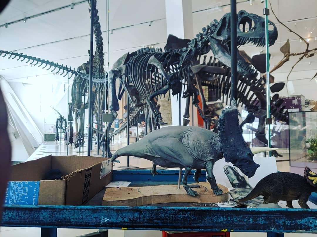 DinosaurDungeon's tweet photo. Four years ago today, I was sculpting @ROMtoronto! Hopefully, I'll go back and do some more sculpting in the future. Maybe when I can meet up with @Paleoartologist again! #dinosaurs #sculpture #paleoart #paleontology #sciart #torosaurus #scalemodel #romtoronto #museum https://t.co/Z5FUo3GcEA
