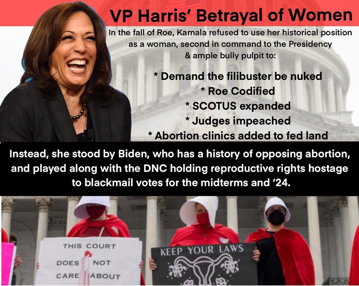 gaijingirl2004's tweet photo. #codifyroevwade https://t.co/SiuOuPdltU