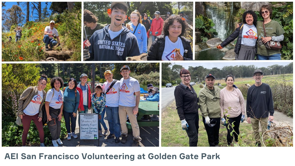 #AEISanFrancisco volunteered at Golden Gate Park for two habitat restorations! Guided by <a href="/RecParkSF/">San Francisco Recreation and Park Department</a>, the team identified edible plants and planted new life. With a waterfall and roaming buffalo nearby, the team appreciated restoring and protecting habitats! #ParkandRecMonth