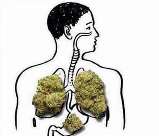THChumor's tweet image. "Why are you breathing so loud?"

Me: