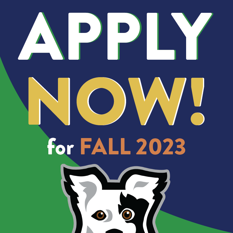 sccyourcollege's tweet photo. Fall 2023 is calling, and there's still time to answer the call at SCC! 🐾 It's not too late to make your educational dreams a reality. Apply TODAY at https://t.co/LDTMqAqmmg

#spartanburgsc #spartanburgcommunitycollege #embracethechase #scc  #dreamitchaseitliveit https://t.co/UlwJKWU7Ym