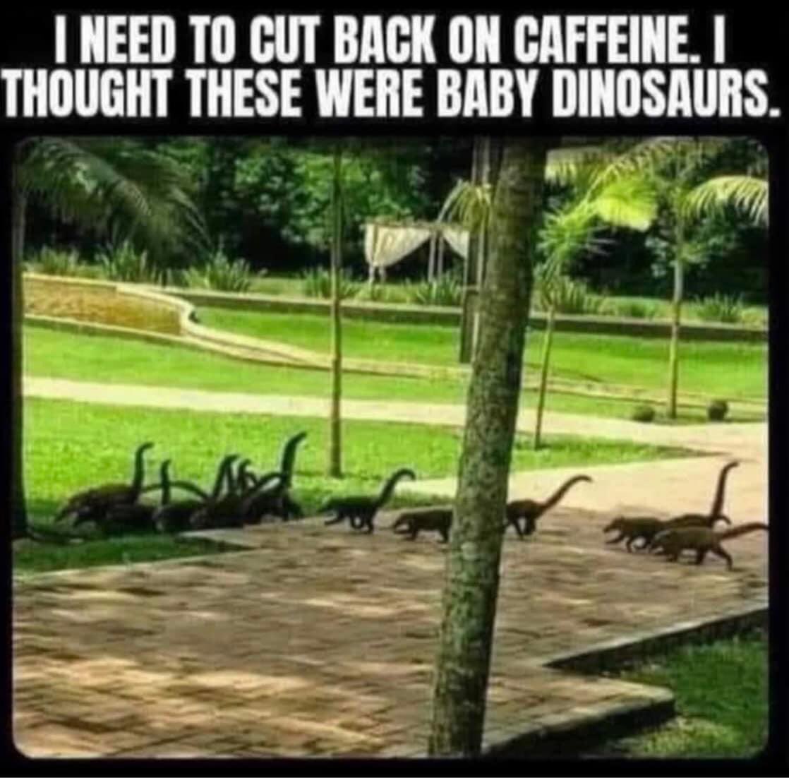 White Bird tweet media