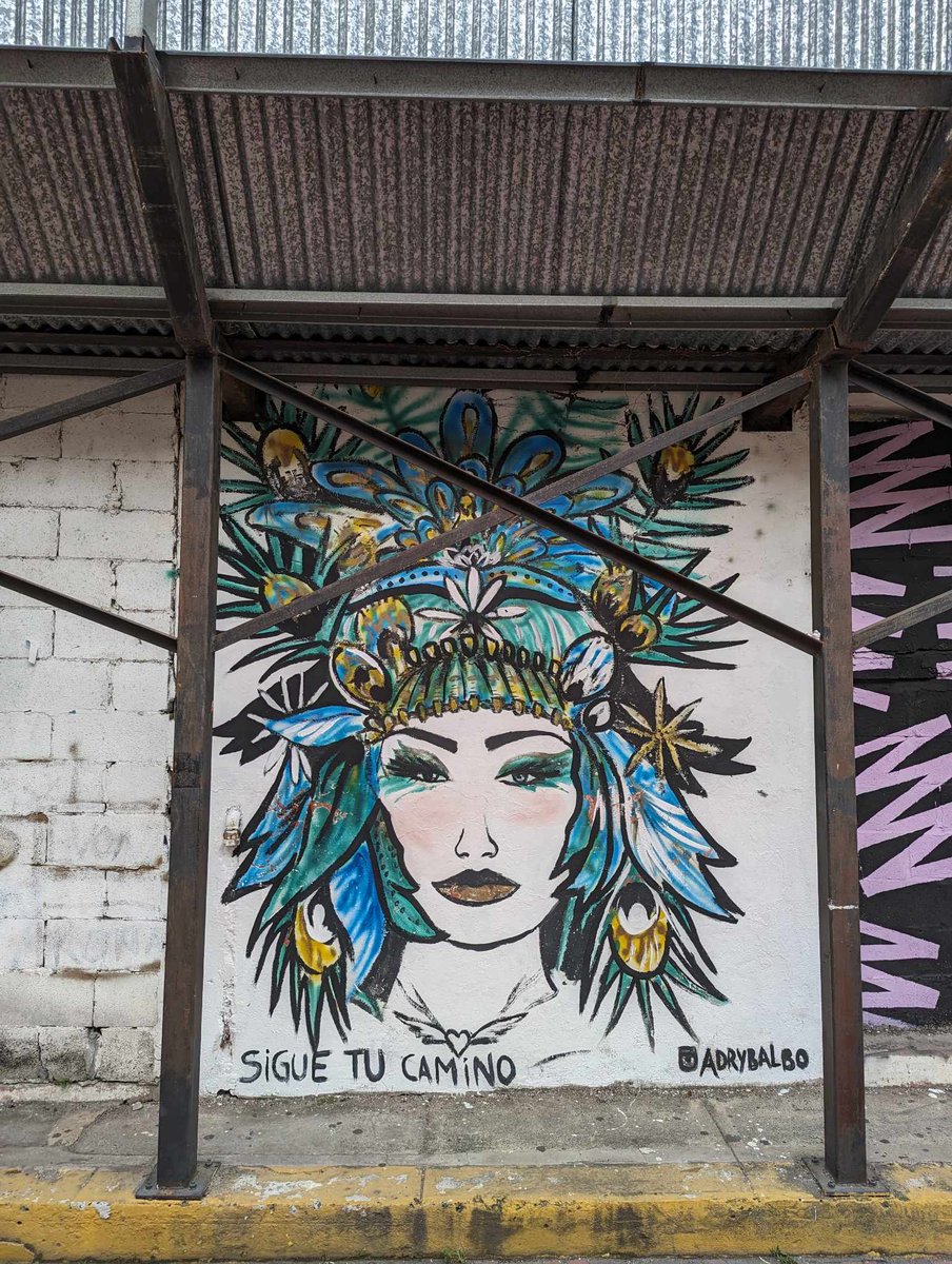 Polyglot Jo tweet media