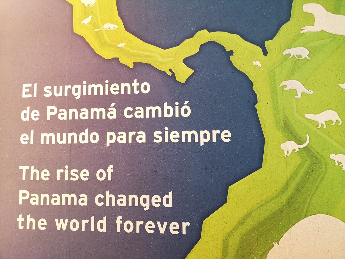 Polyglot Jo tweet media