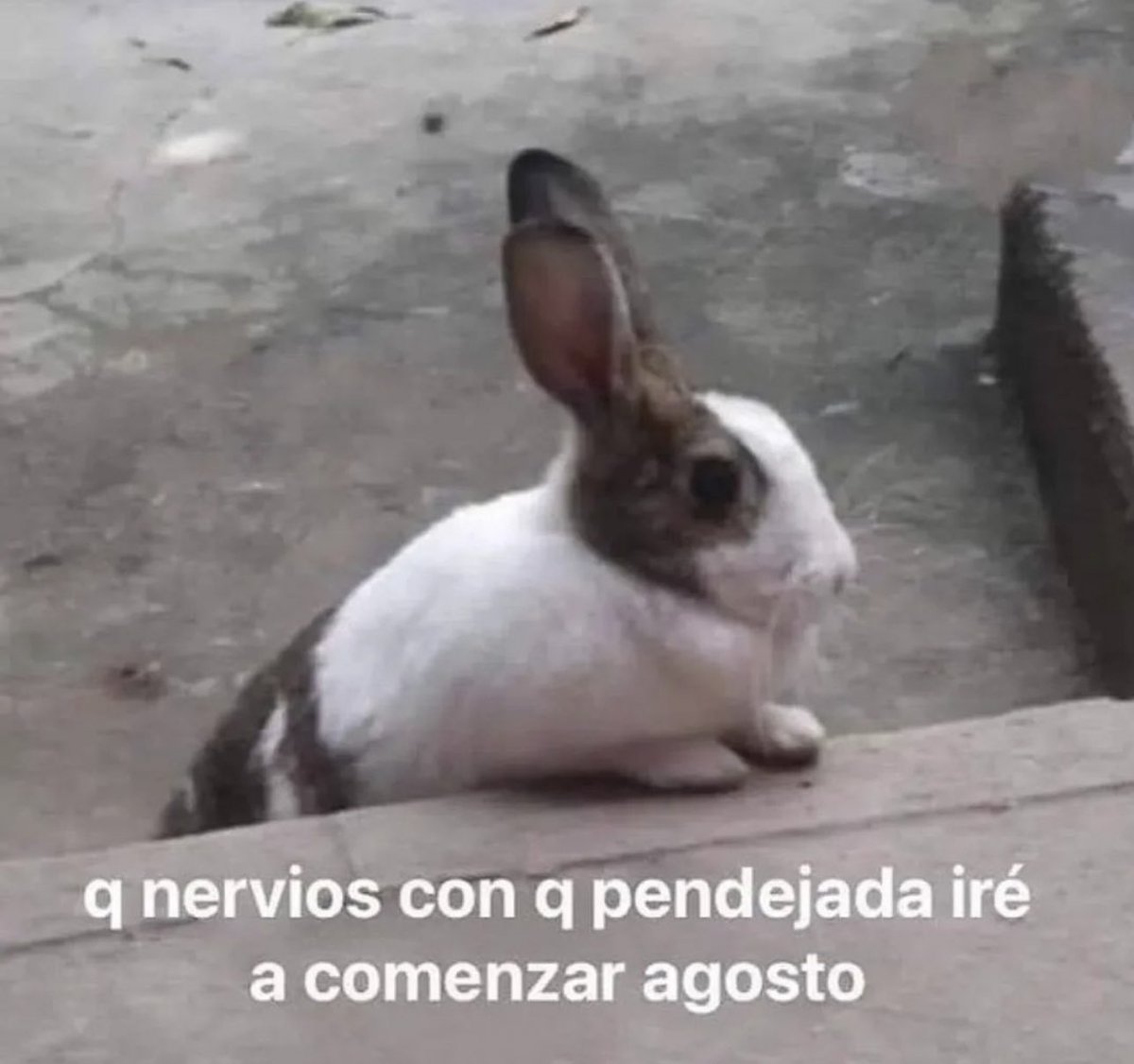 piña sin pizza (@skereunpesado) on Twitter photo 