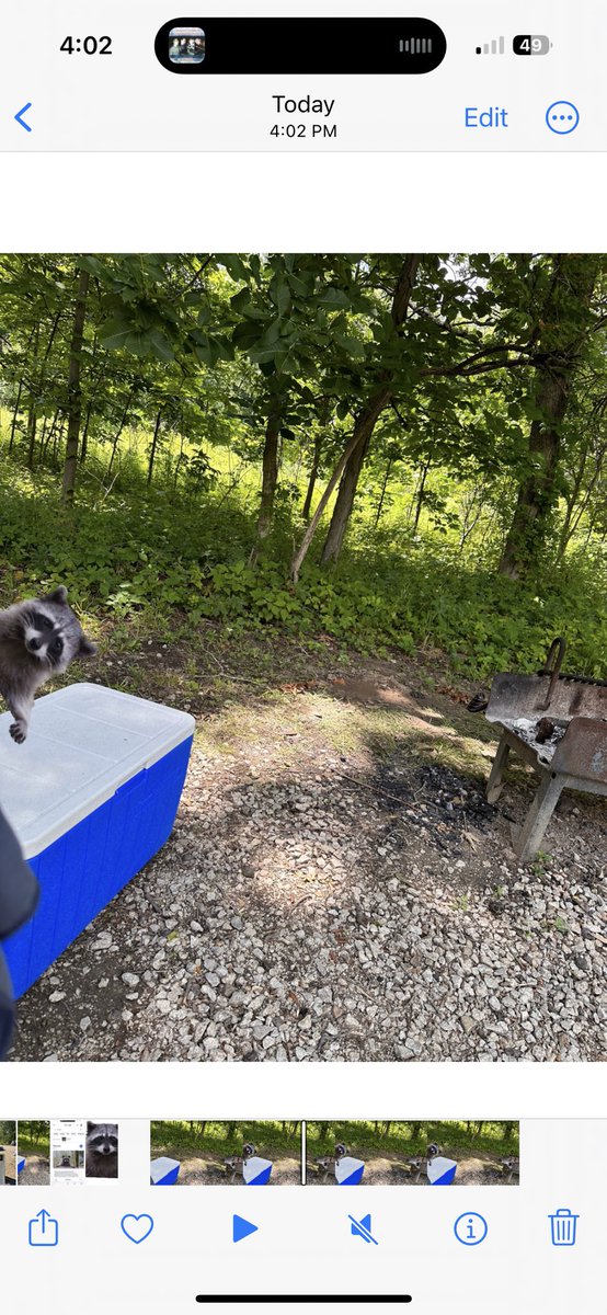 Rodlongwood's tweet photo. Absolutely thrilled to have entered a new player! @lukeandpeteshow 

Head torches, beers, music, making a fire, and cooking raw meat and s’mores over said fire is what camping is all about, baby!

But beware the raccoons. #notphotoshopped https://t.co/yIuATEZY5r