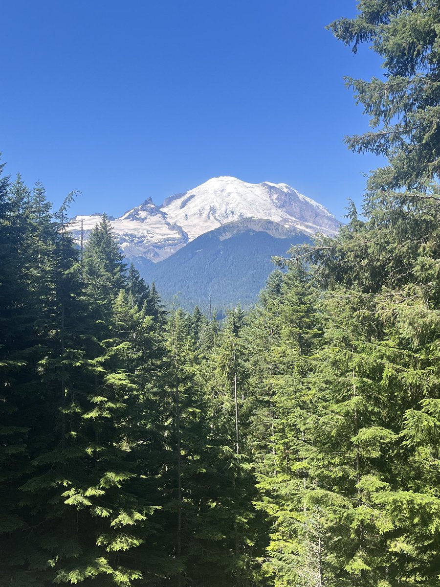 Paul Swanwick tweet media