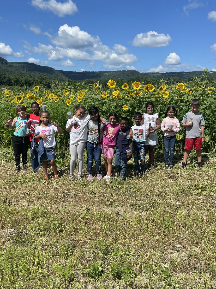 We went on a hayride and did some blueberry picking today at Indian Ladder Farms! I also spotted a great picture spot in front of these beautiful sunflowers 🌻 we aren’t ready for SEP to end!