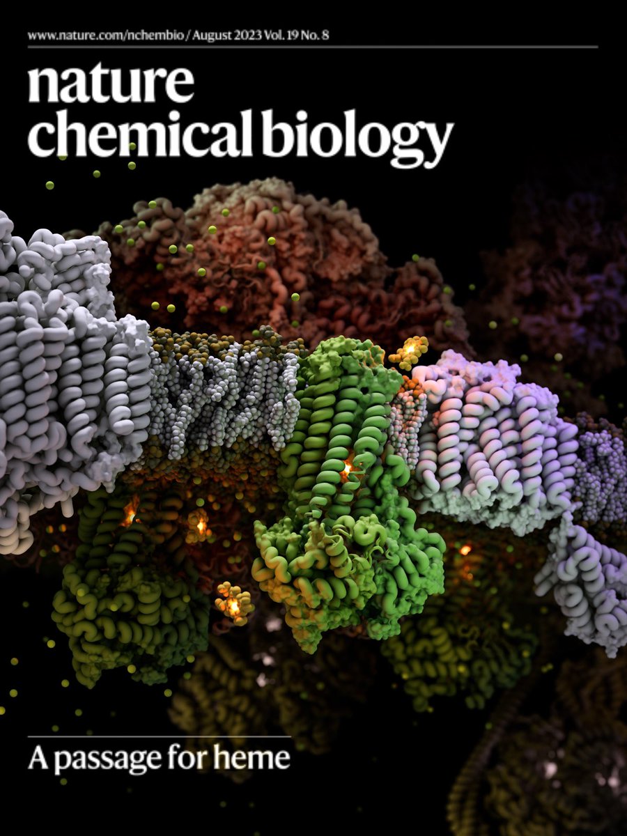 Safarian Lab (@safarianschara) on Twitter photo This one was special! Very proud of our work, despite the long journey and dealing with most hostile reviews ever received. Major credit to <a href="/MiChAeL_900922/">Di Wu</a>, <a href="/franziska_f1nke/">Franziska Finke</a>, <a href="/AhmadRezaMehdi1/">Reza Mehdipour</a>, and <a href="/HummerLab/">Hummer Lab</a> This one was special! Very proud of our work, despite the long journey and dealing with most hostile reviews ever received. Major credit to <a href="/MiChAeL_900922/">Di Wu</a>, <a href="/franziska_f1nke/">Franziska Finke</a>, <a href="/AhmadRezaMehdi1/">Reza Mehdipour</a>, and <a href="/HummerLab/">Hummer Lab</a>