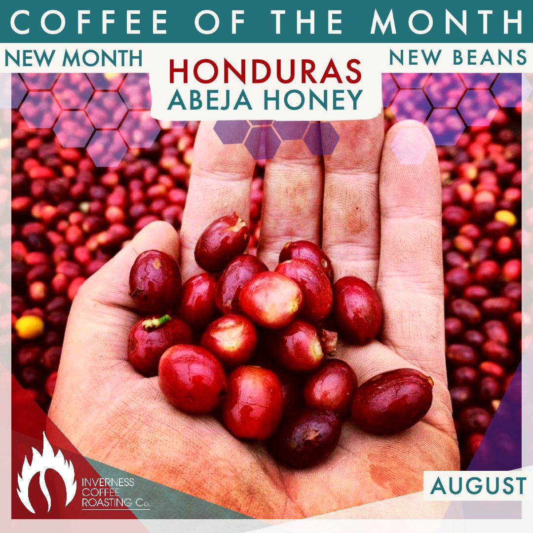 🎊 New Month means New Beans 🎊

For August, Team Bean are roasting up a bee-utiful bunch of beans from Honduras - grab a bag to see what all the buzz is about! 🐝
invernesscoffeeroasting.co.uk/collections/co…

#invernesscoffeeroastingco #coffeeroasters #coffeeshop #coffee #honduras #abeja
