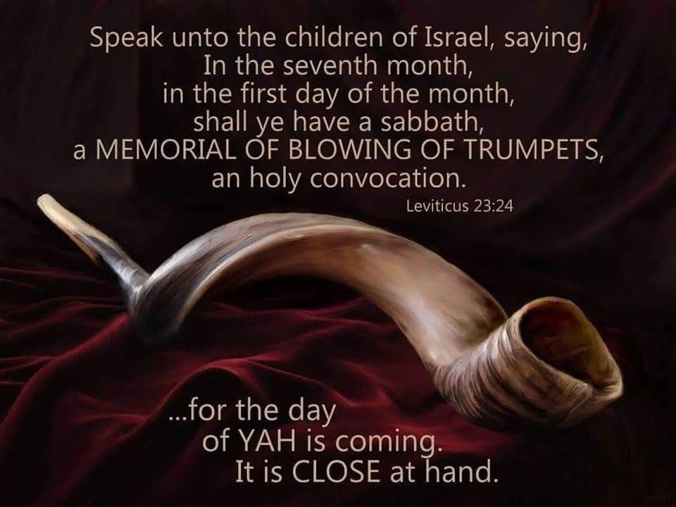 CamilleMonk's tweet photo. Get on the Biblical Calendar while you still have time! His #Sabbaths and His #Feasts These are our Appointed Times with Him; they are our #REHEARSALS! Don't miss your appointments with the Most High! Next one is Feast of Trumpets! are you ready and waiting for Messiah's Return! https://t.co/xQuxuAA0aG
