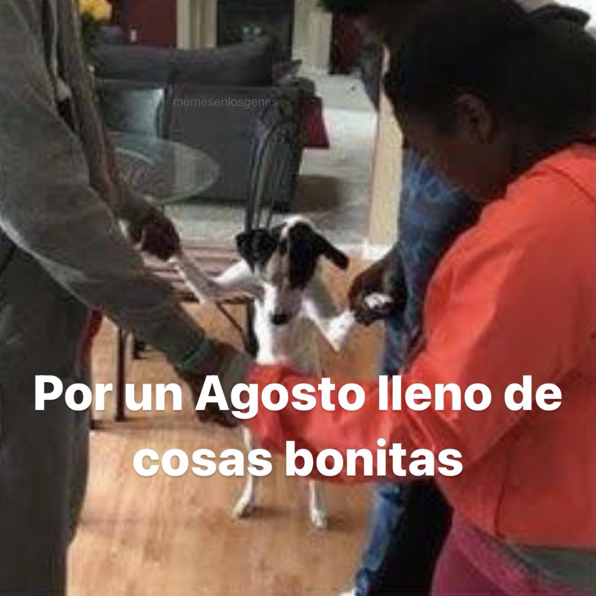 memesenlosgenes (@memesenlosgenes) on Twitter photo 