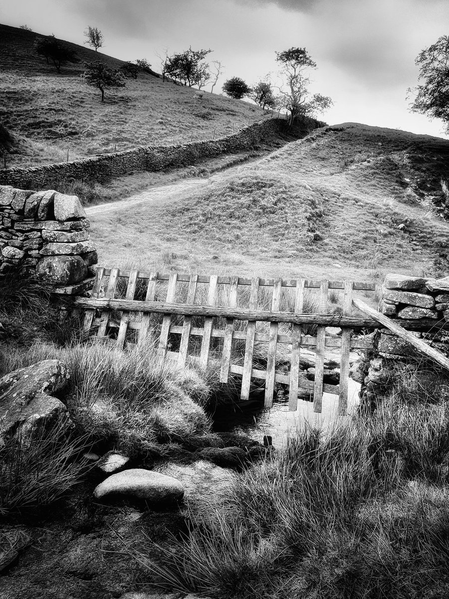 chazzoo77's tweet photo. Over the brook up the lane and by the sheep #blackandwhitephotography #blackandwhitephoto #blackandwhite #photooftheday #photography #photo #landscapephotography #mobilephotography https://t.co/DdDblrPxVB