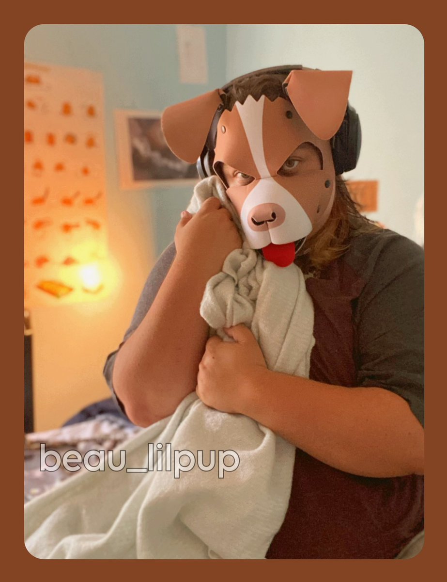 prey_doggy's tweet photo. Puppy snuggles in bed 💕🐶 Pls come cuddle
[He/It, minors DNI]

#pupplay #puppyplay #petplay #puphood #ftmpup #transpup #queerpup #humanpup #pupgear #wruffstuff https://t.co/uIE0aQykkD
