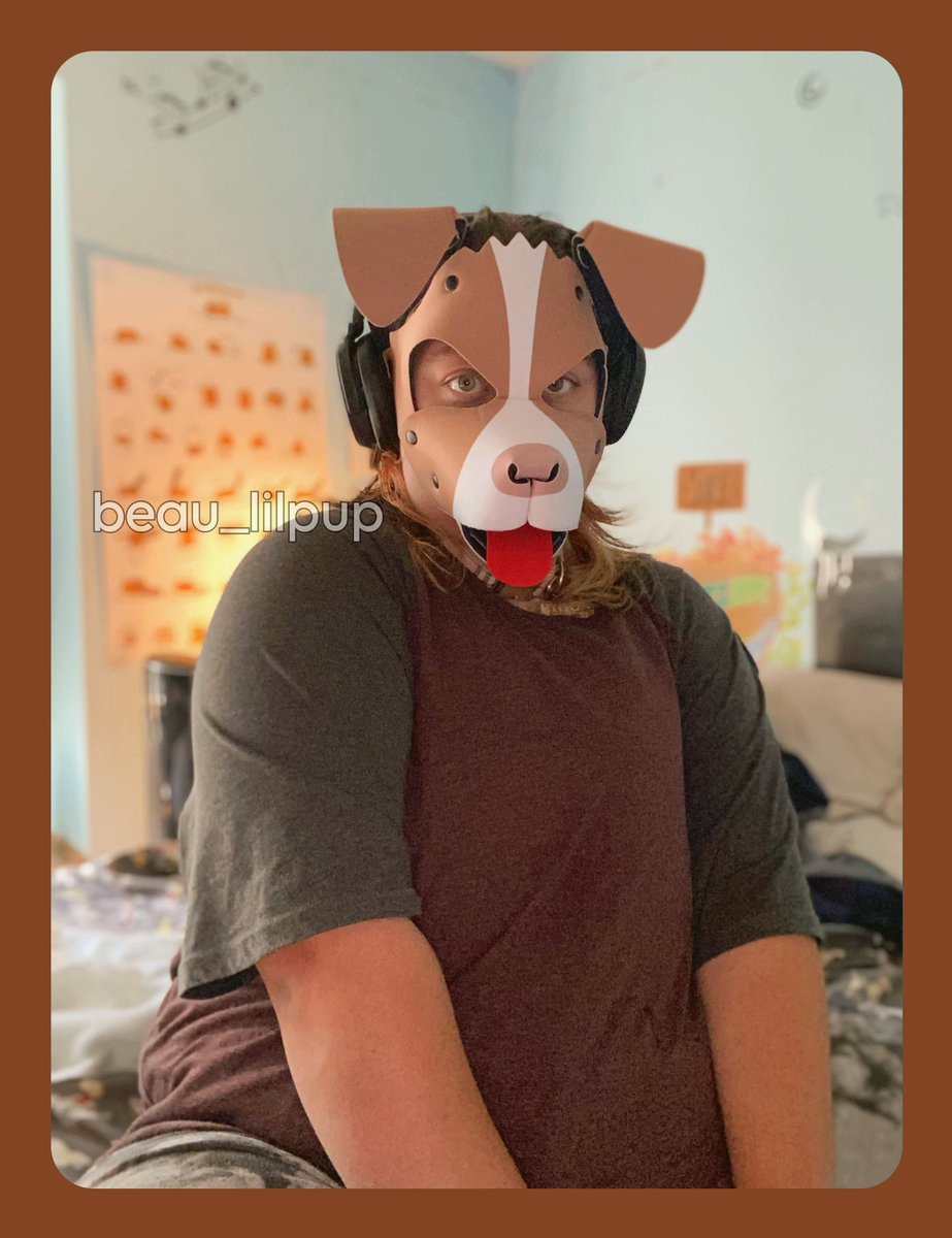 prey_doggy's tweet photo. Puppy snuggles in bed 💕🐶 Pls come cuddle
[He/It, minors DNI]

#pupplay #puppyplay #petplay #puphood #ftmpup #transpup #queerpup #humanpup #pupgear #wruffstuff https://t.co/uIE0aQykkD