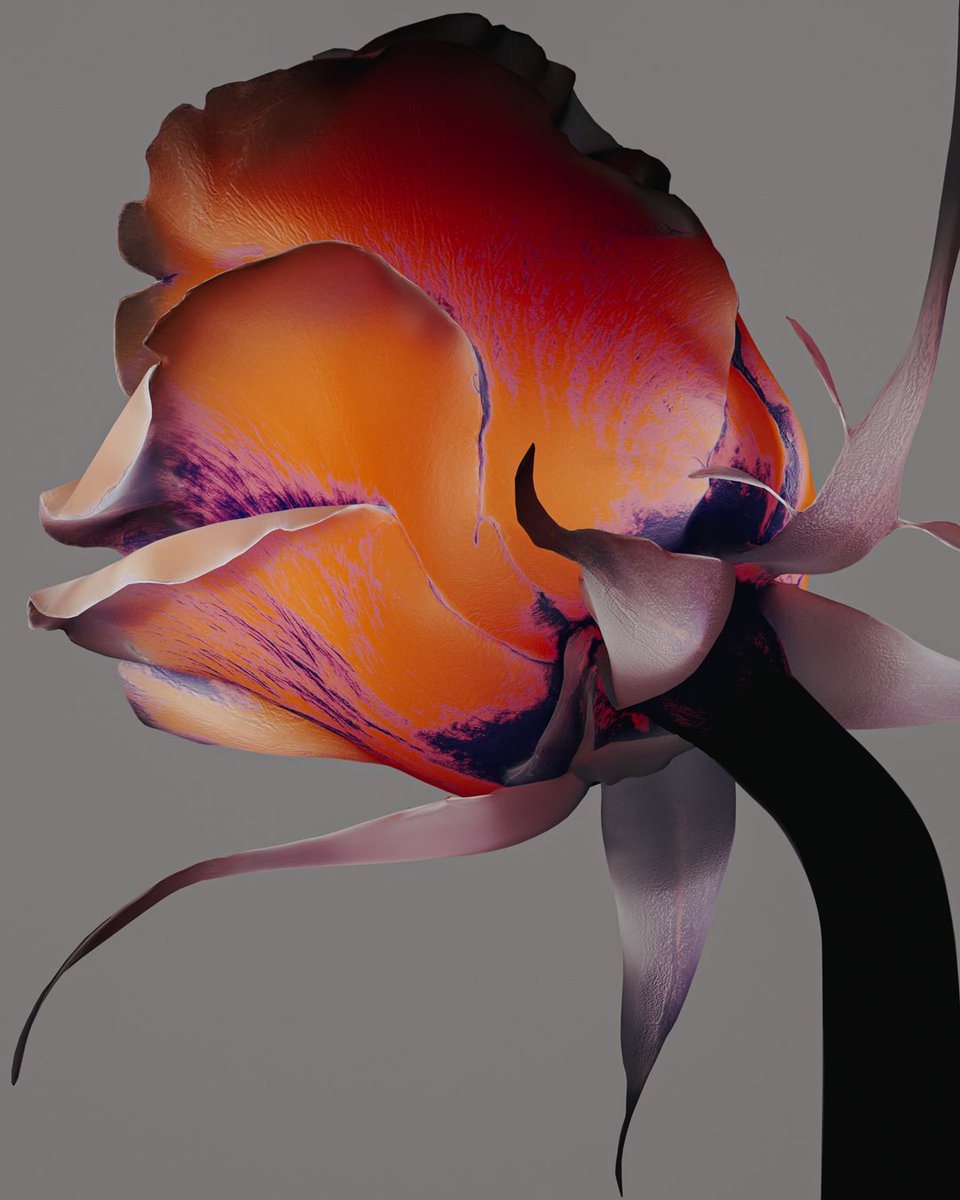 Loodious tweet media