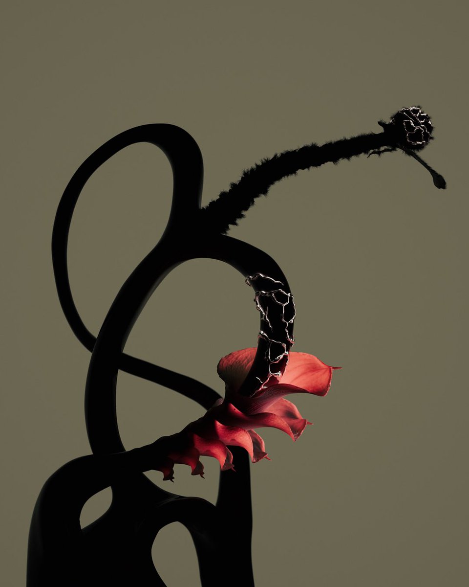 Loodious tweet media