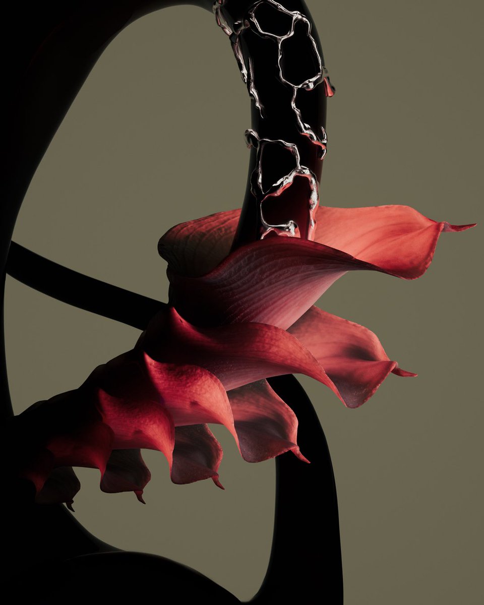 Loodious tweet media