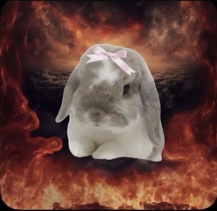 vantaeprod's tweet image. idk how to explain but this is yuuji itadori