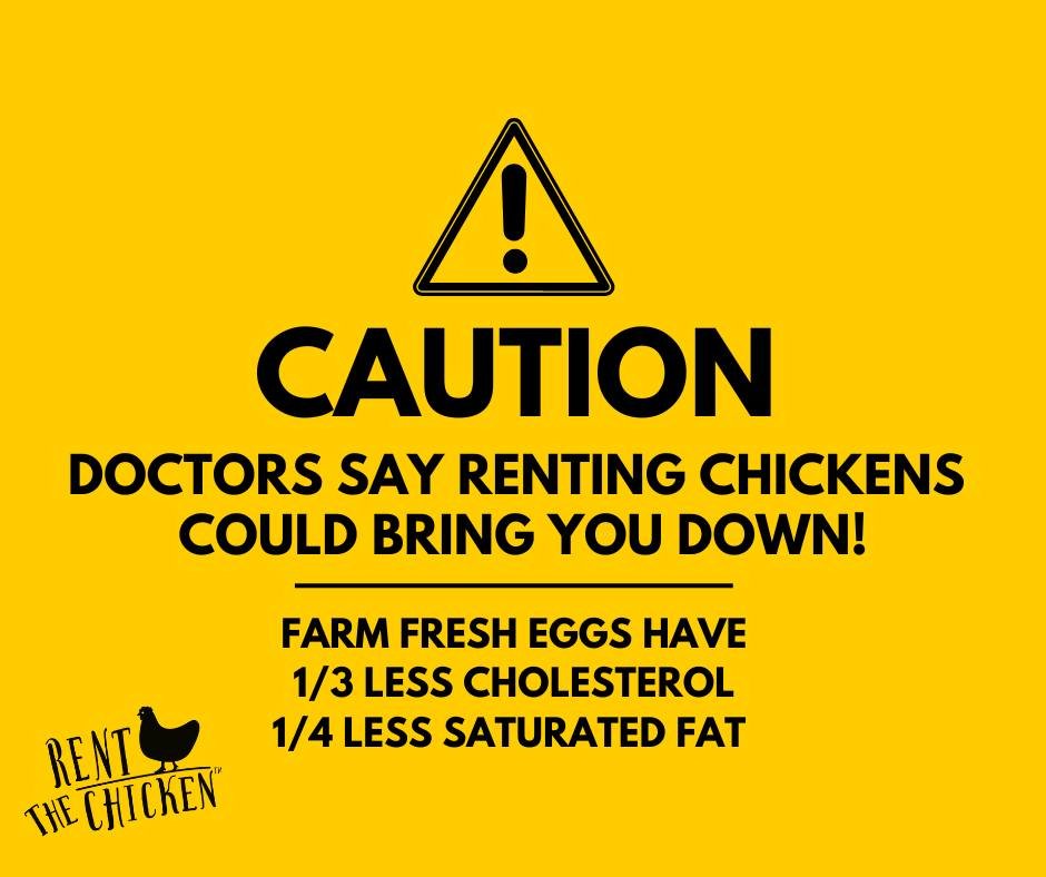 RentTheChicken's tweet photo. https://t.co/imRyePp3il
https://t.co/Z6y1Zg6PSU
#FreshEggs #YardToTable #FarmToTable #Breakfast #diet #SustainableAgriculture #Chickens #BackyardChickens #Eggs https://t.co/sBQAo8dmjo