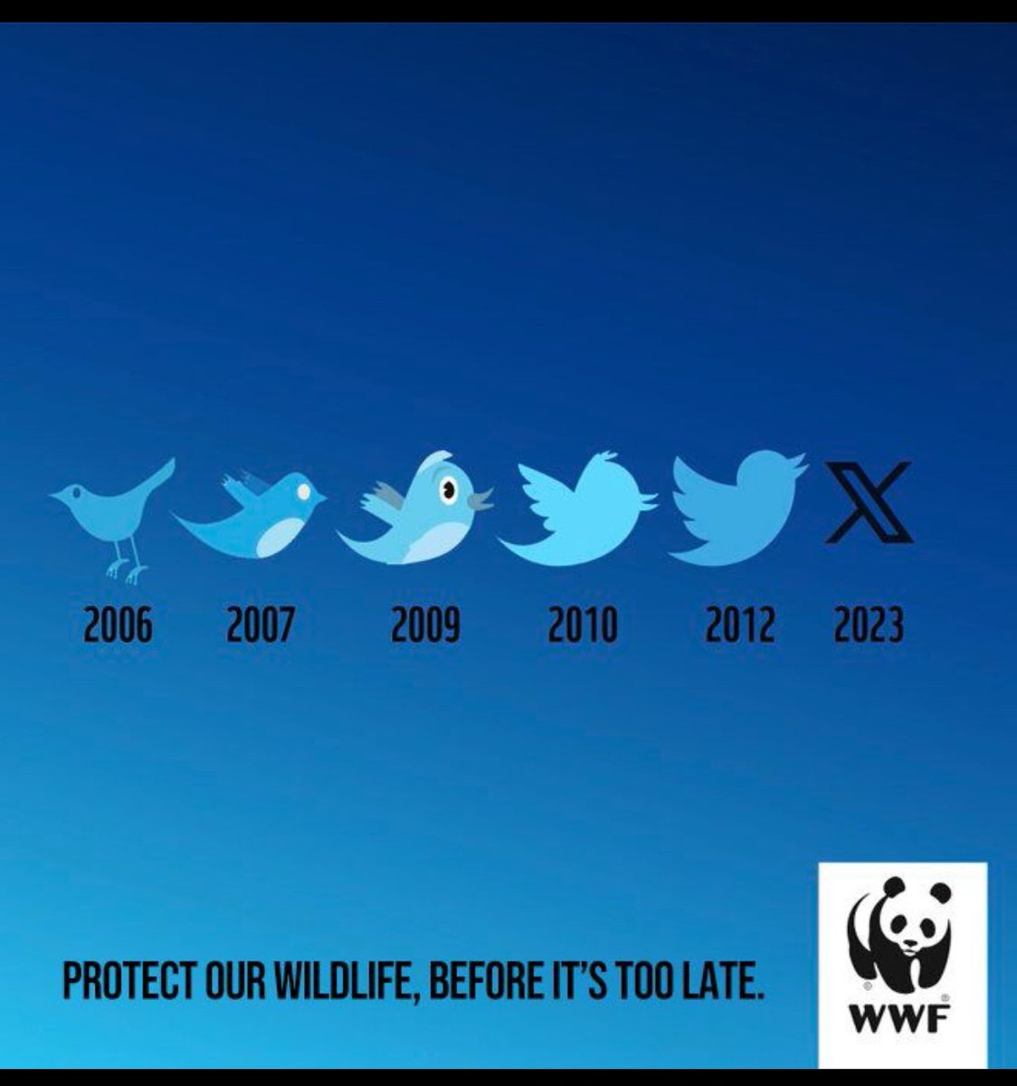 sal walker tweet media