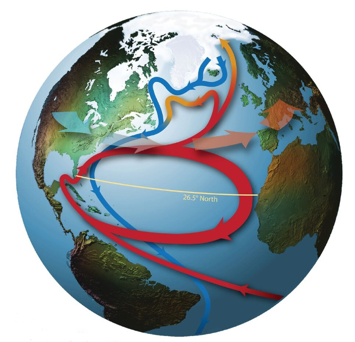 Um fio sobre circulação oceânica, a AMOC, os novos estudos sobre seu ...