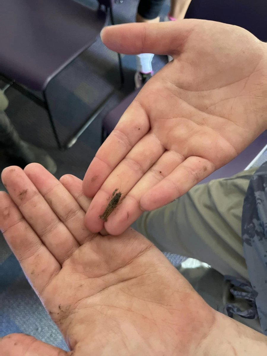 SEPCurriculum's tweet photo. #SEPolk Environmental Science Campers spent the morning exploring the ecosystem  of Camp Creek with Dr. Summerville @DrakeUniversity and Jim Pifer, #SEPolk Science Coordinator. #1SEP #whatteachersdointhesummer https://t.co/KxDIpsXJVz