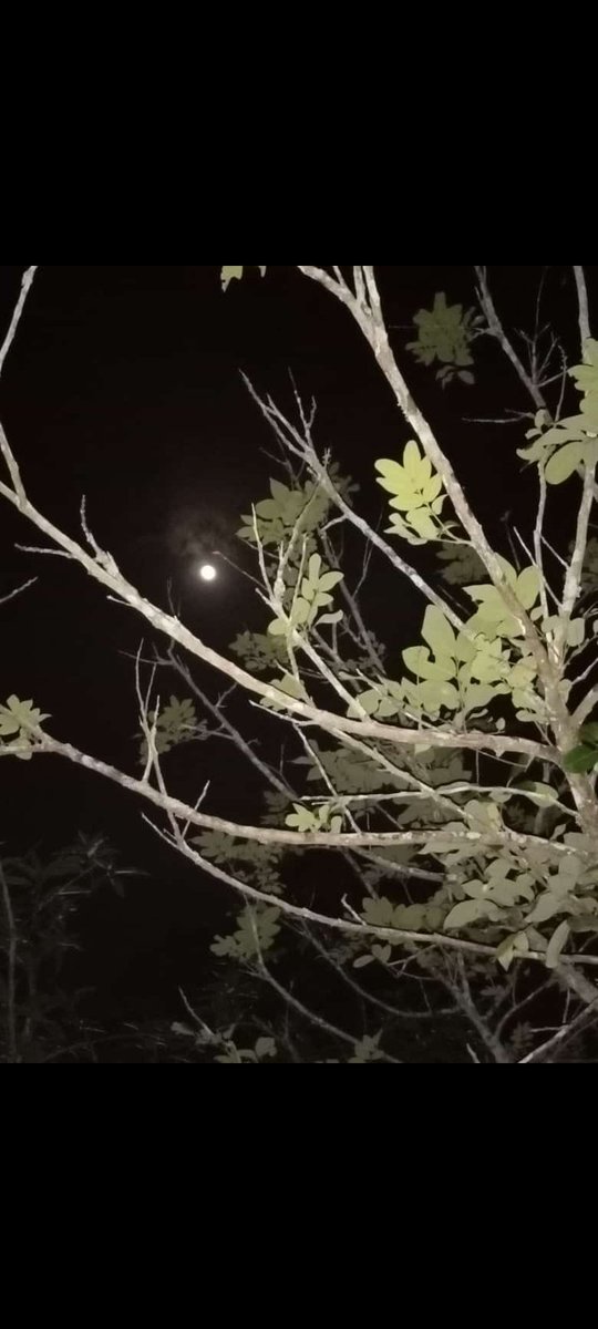 Mas R (@sah17569) on Twitter photo 