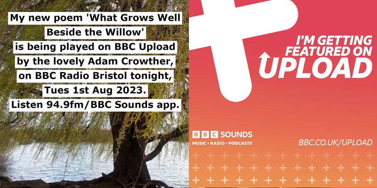VerseCycle's tweet photo. My new poem 'What Grows Well Beside the Willow' is being played on @bbcupload by the lovely @adam_crowther on @bbcbristol tonight Tues 1st Aug. Listen 94.9fm/BBC Sounds app.
#poetry #versecycle #carolineburrows #naturepoem #lovepoetry #willowtree #grassroots #poem #cyclepoet https://t.co/7VgvAI26cT