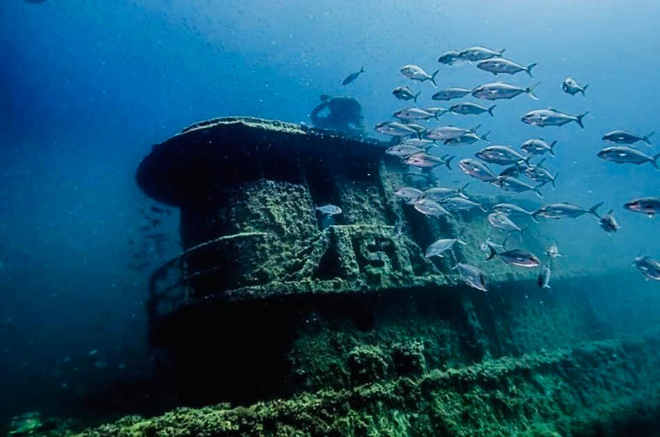 Raymarine tweet media