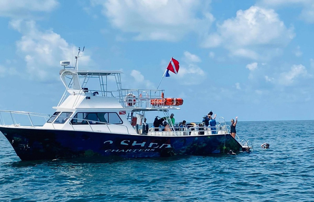 Find a school, a shoal or a ship with the #Raymarine Axiom® Pro 12 with RV-212 Transducer.

#marineelectronics #marinetechnology #raymarineaxiom