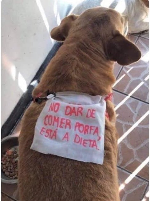 Yo comenzando la dieta en Agosto: