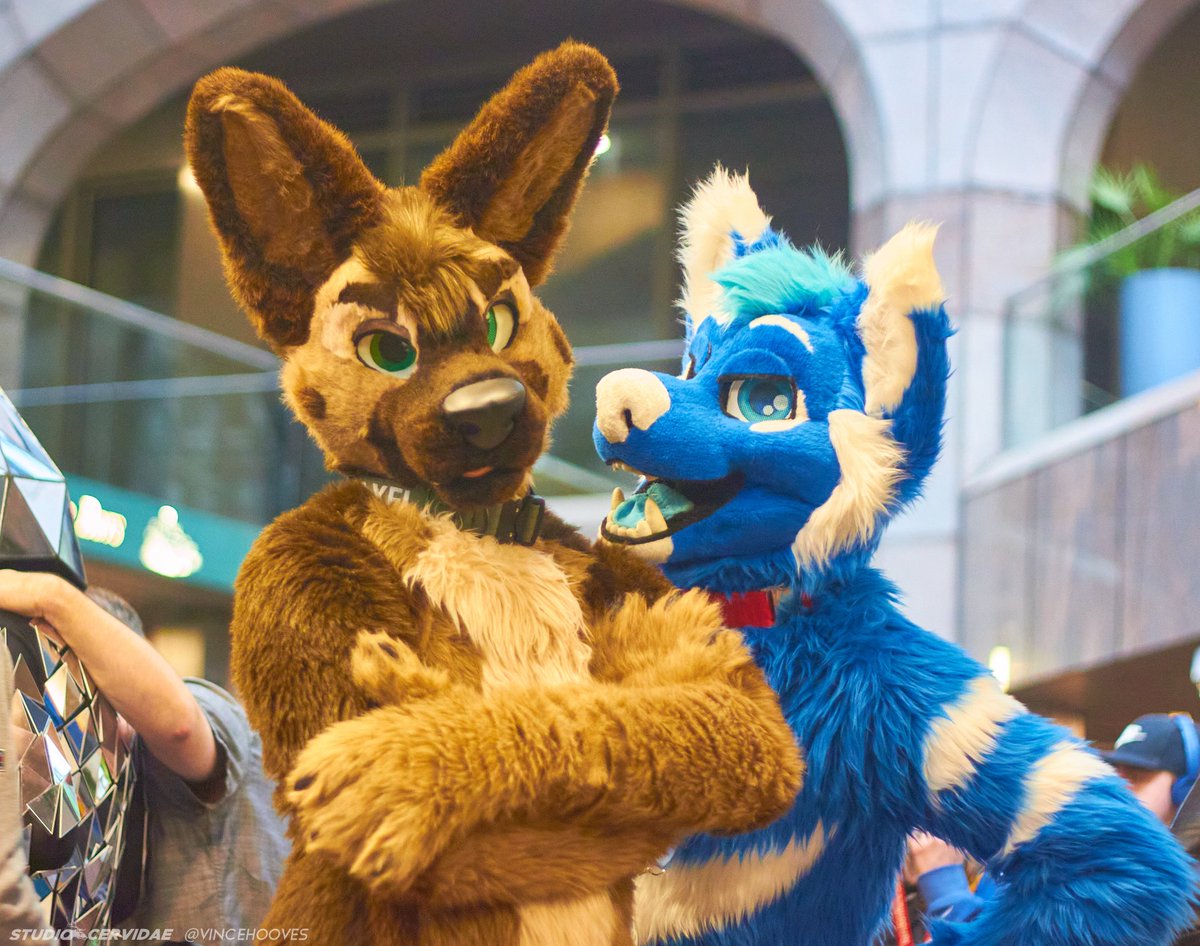 Preparing to sing song of my people into <a href="/MadAxelShep/">Axel</a> ears 👀😋

📸: <a href="/vincehooves/">Vincent🇬🇧🇵🇱 🖊️COMMS OPEN🖊️ 🔜MP🇺🇸</a>