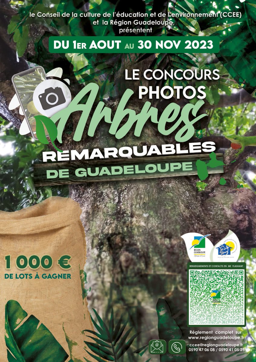 Le CCEE Guadeloupe et la <a href="/CRGuadeloupe/">Région Guadeloupe</a>  organisent un concours photos "Arbres remarquables de Guadeloupe" du 1er août au 30 novembre 2023.