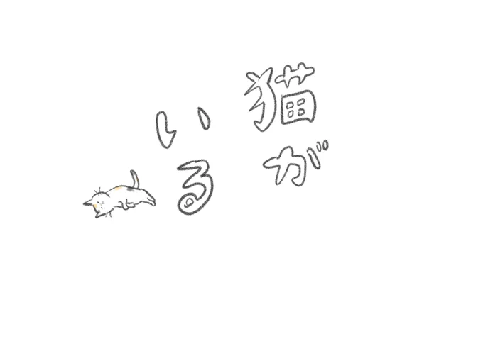 猫がいる 