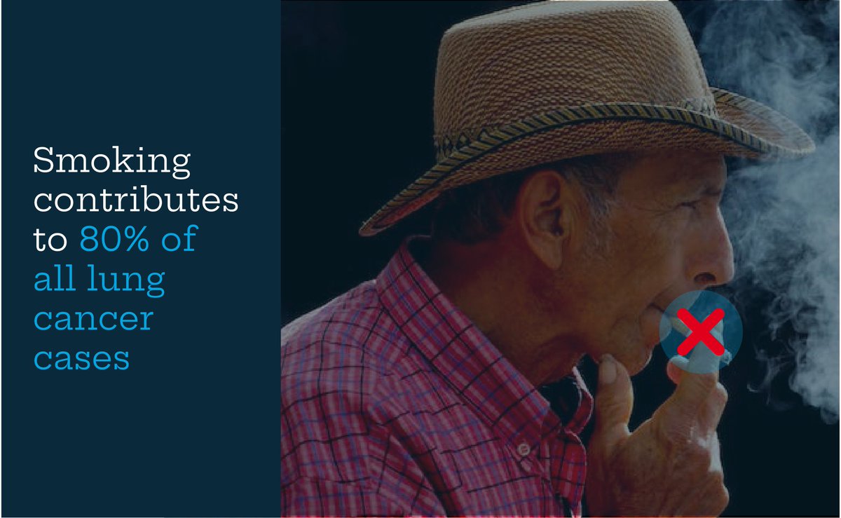 #Smoking is the top cause of preventable deaths and 80% of lung cancer cases. At VRI, we're dedicated to promoting lung health and aiding in smoking cessation. On #WorldLungCancerDay, let's raise awareness about #tobacco risks and quitting: bit.ly/3qhgtWD

#Cancer
