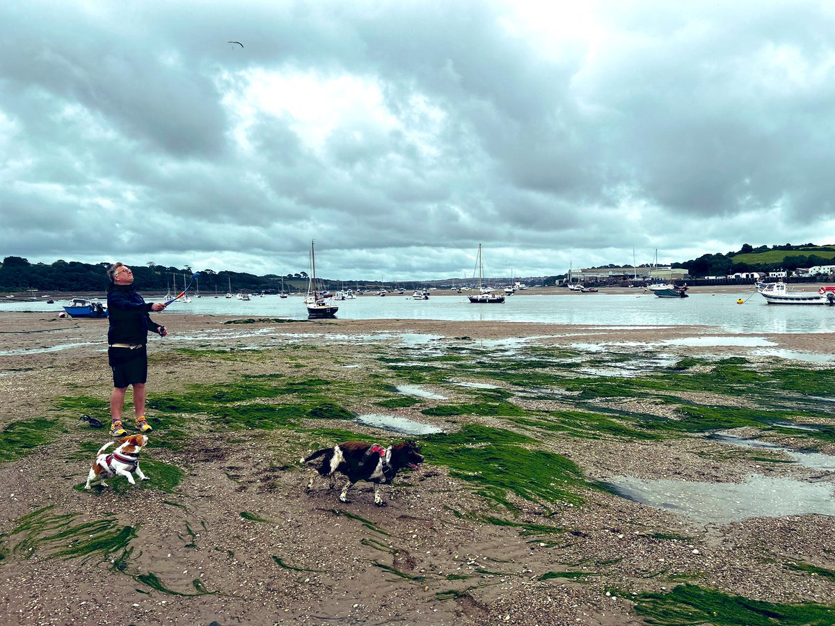 cmajt80's tweet photo. They both enjoyed Instow beach more this morning. https://t.co/tf8THoMBoc