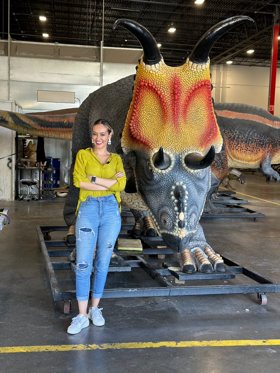 Me trying to look as cool as this dinosaur 😎

Yo tratando de verme tan cool como este dinosaurio! 🦖